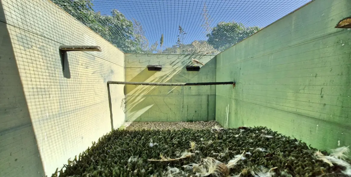 Sale of finca - cortijo in Coín 42