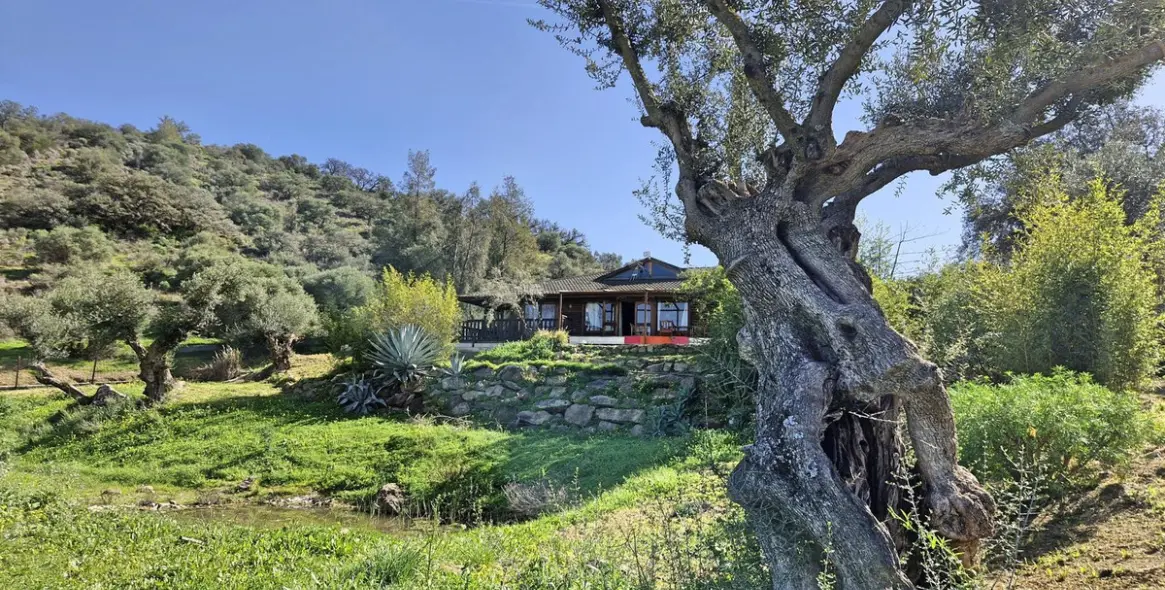 Sale of finca - cortijo in Coín 43