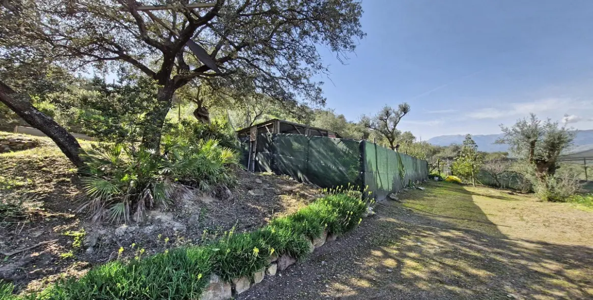 Sale of finca - cortijo in Coín 46