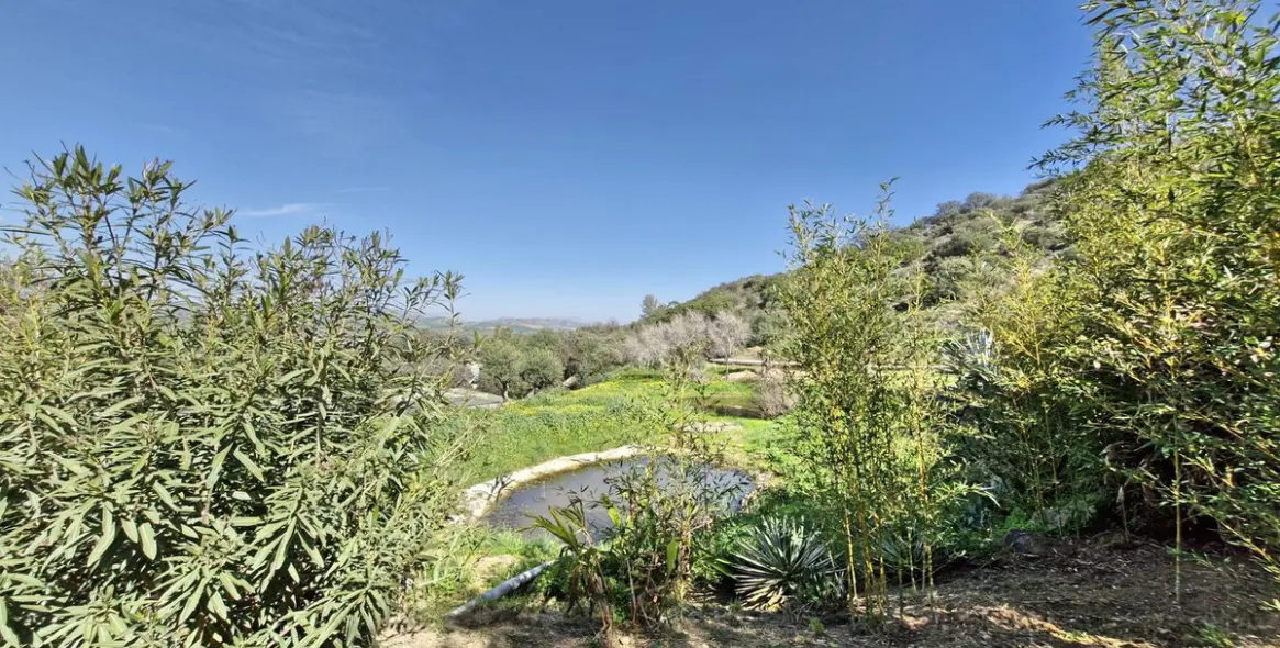 Sale of finca - cortijo in Coín 47