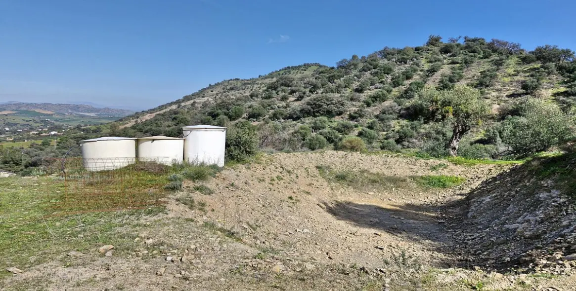 Sale of finca - cortijo in Coín 49