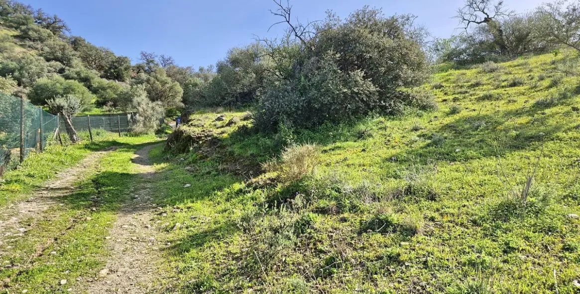 Sale of finca - cortijo in Coín 51