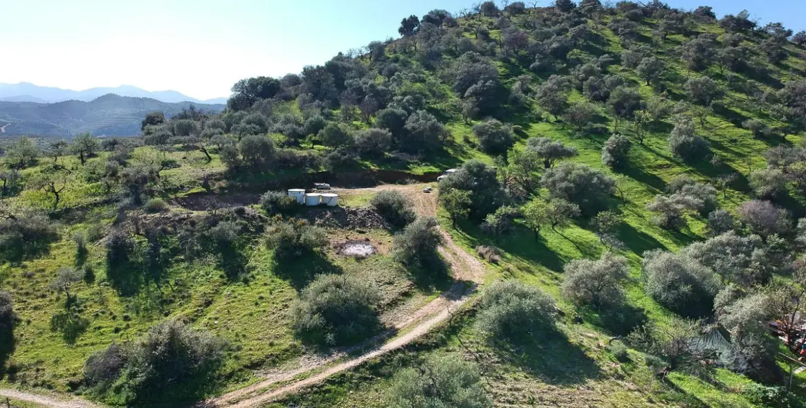 Sale of finca - cortijo in Coín 53