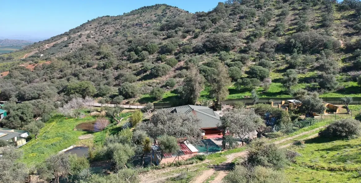 Sale of finca - cortijo in Coín 54
