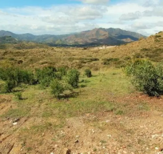 Sale of residential plot in Mijas