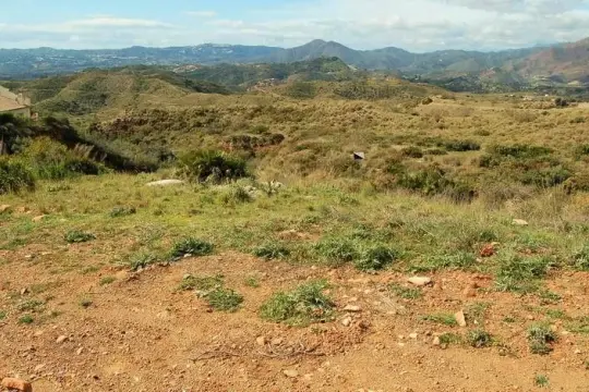 Image 4 thumb