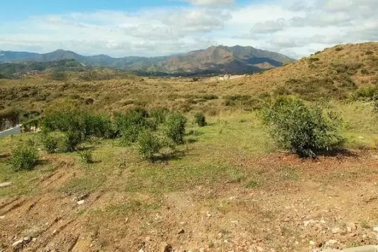 Image 6 thumb