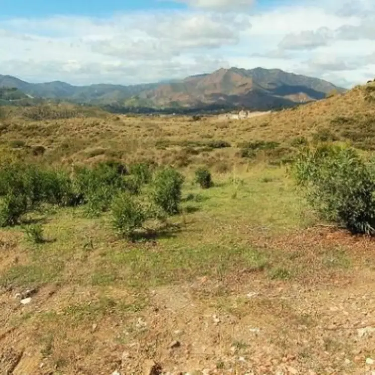Venta de parcela residencial en Mijas