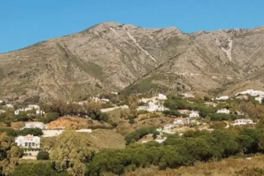 Image 7 thumb