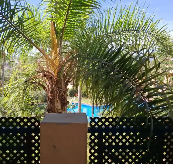 Продажа апартаментов на среднем этаже в El Paraiso