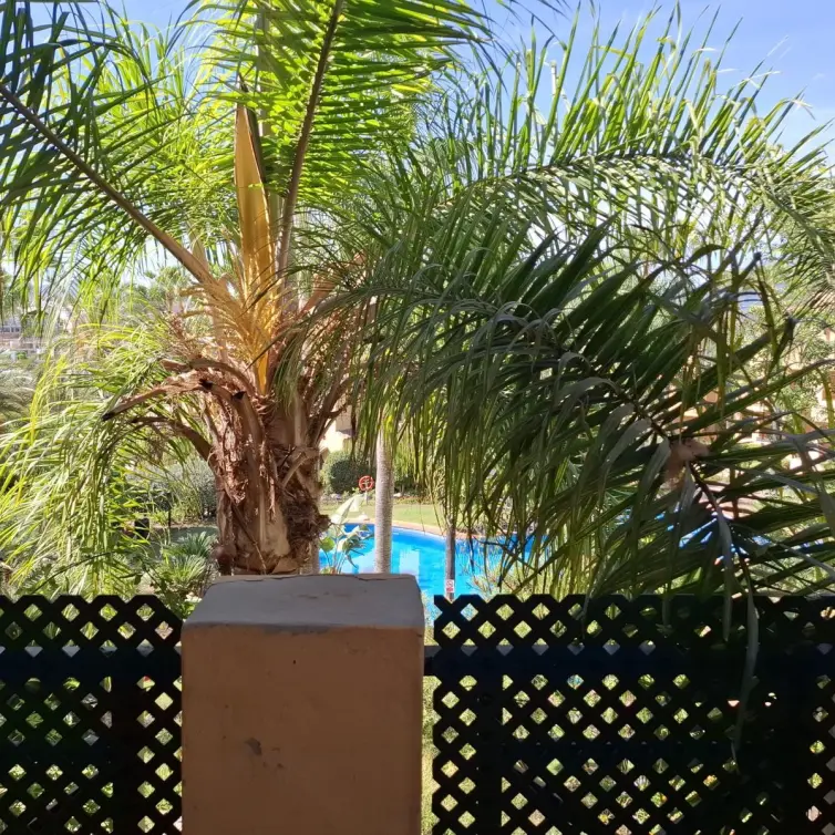 Venta de apartamento en planta media en El Paraiso