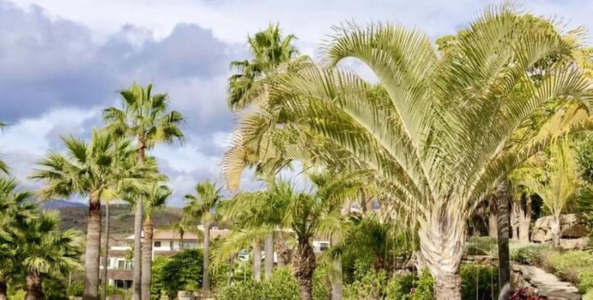 Продажа апартаментов на первом этаже в Los Flamingos 16