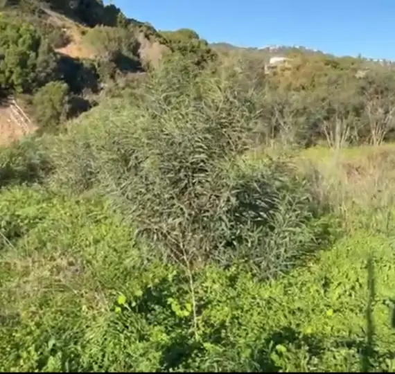 Venta de parcela residencial en Elviria