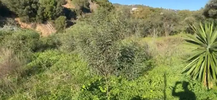 Venta de parcela residencial en Elviria 2