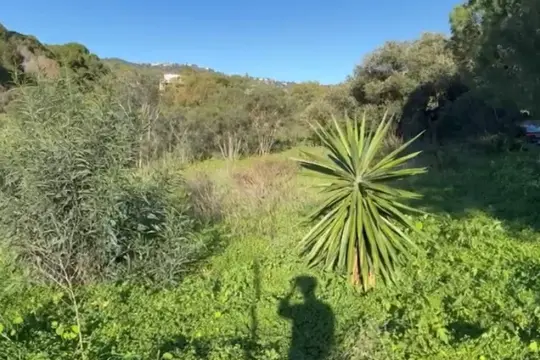 Image 4 thumb