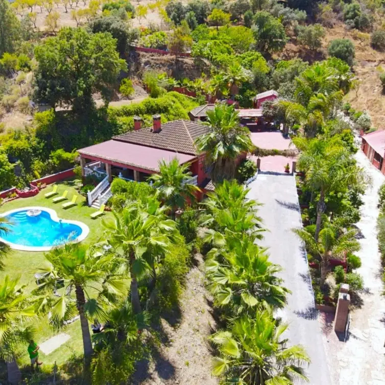 Sale of finca - cortijo in Monda