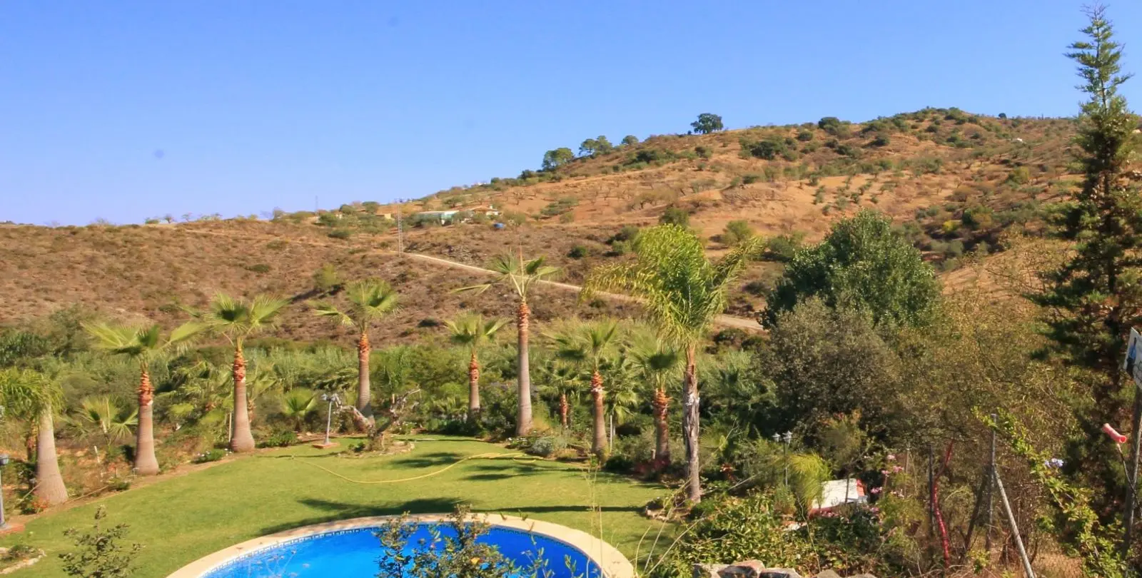 Venta de finca - cortijo en Monda 22