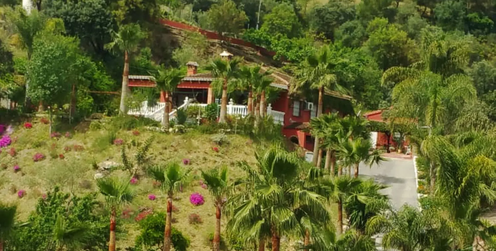 Venta de finca - cortijo en Monda 23