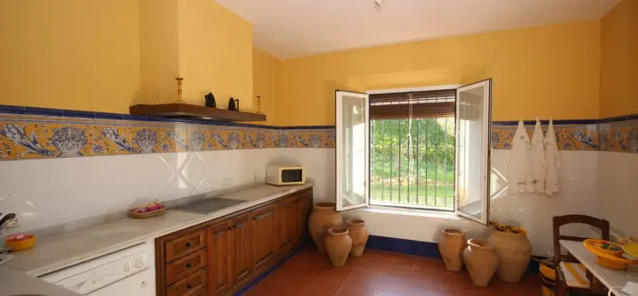 Sale of finca - cortijo in Ronda 2