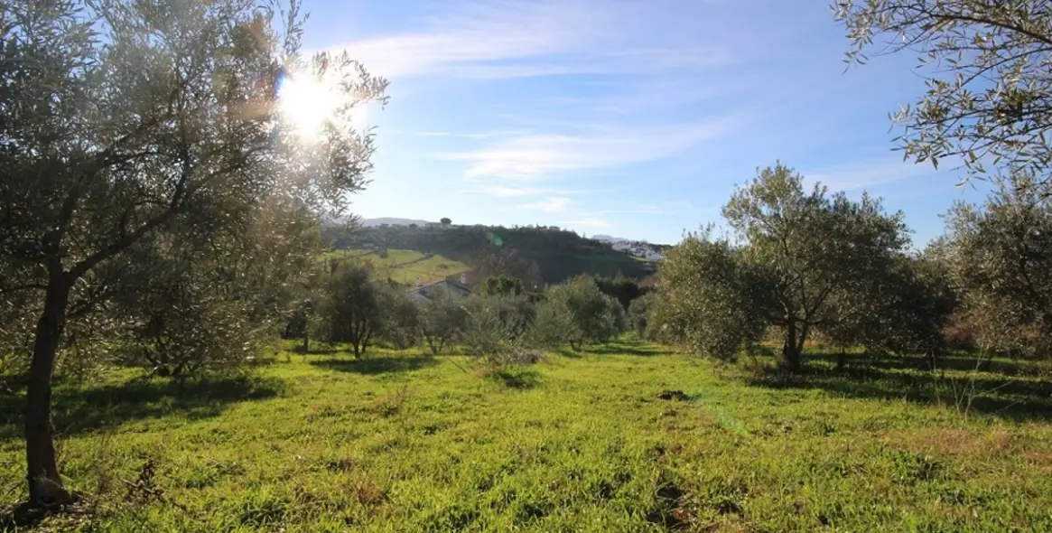 Sale of finca - cortijo in Ronda 6