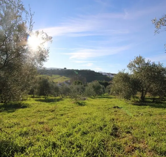 Sale of finca - cortijo in Ronda