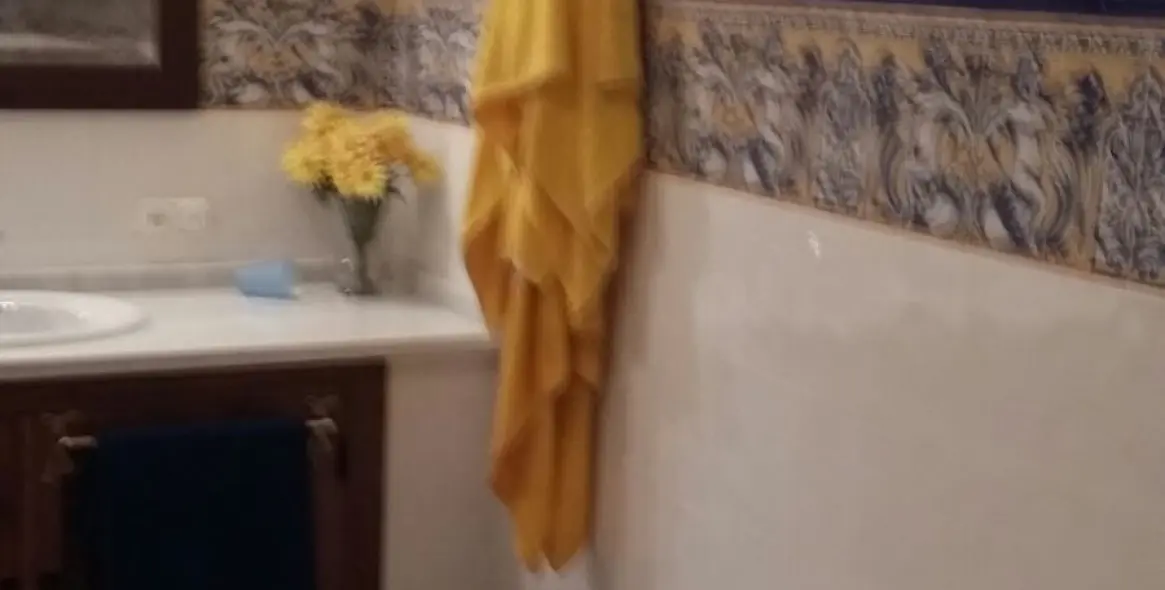 Sale of finca - cortijo in Ronda 13