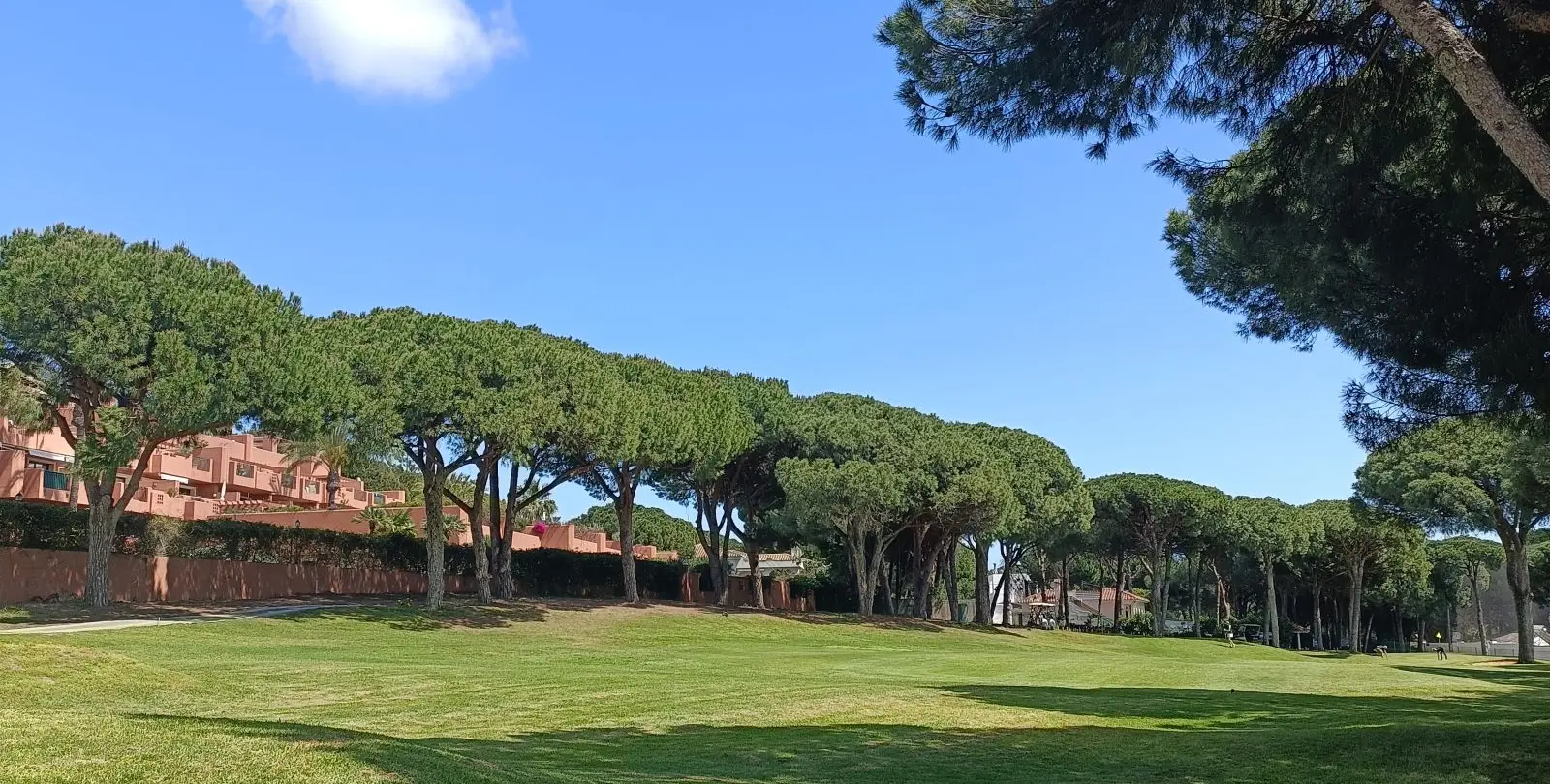 Продажа апартаментов на среднем этаже в Marbella 20