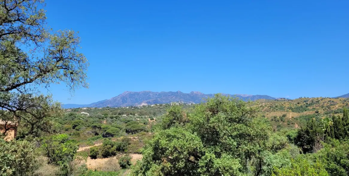 Продажа  жилого участка в Elviria 1