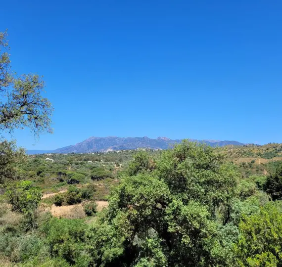 Venta de parcela residencial en Elviria