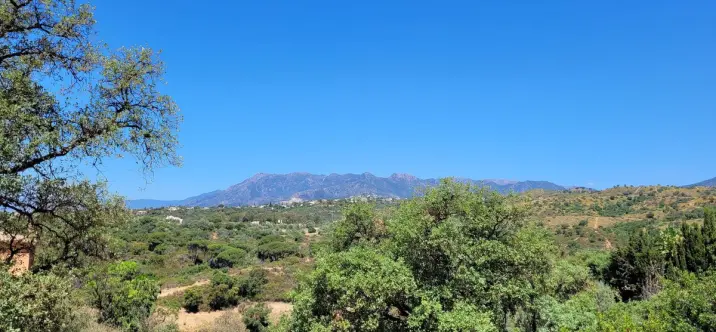 Venta de parcela residencial en Elviria 0