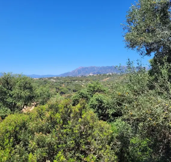 Venta de parcela residencial en Elviria