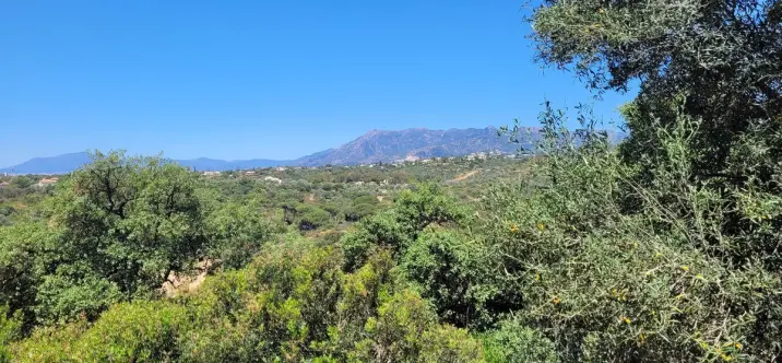 Venta de parcela residencial en Elviria 1