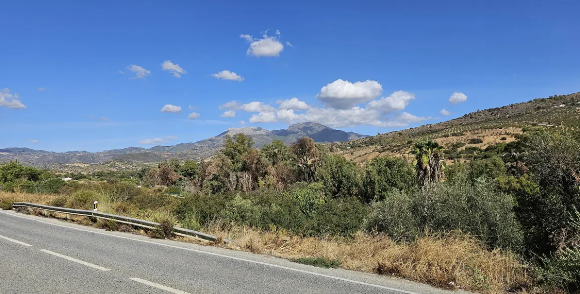 Продажа ресторана в Guaro 1