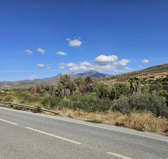 Продажа ресторана в Guaro