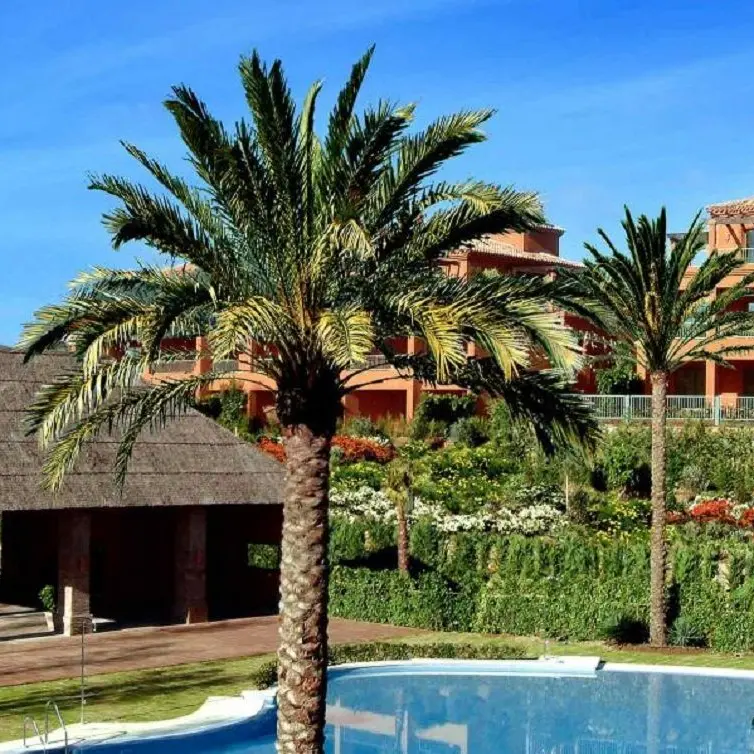 Sale of middle floor apartment in Atalaya