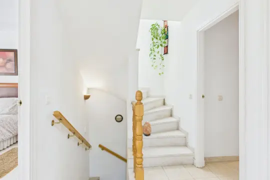 Image 17 thumb