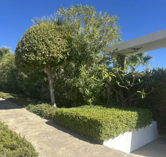 Sale of middle floor apartment in Casares