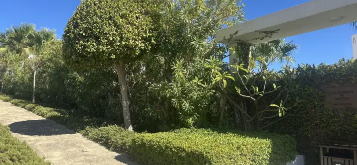 Sale of middle floor apartment in Casares 2