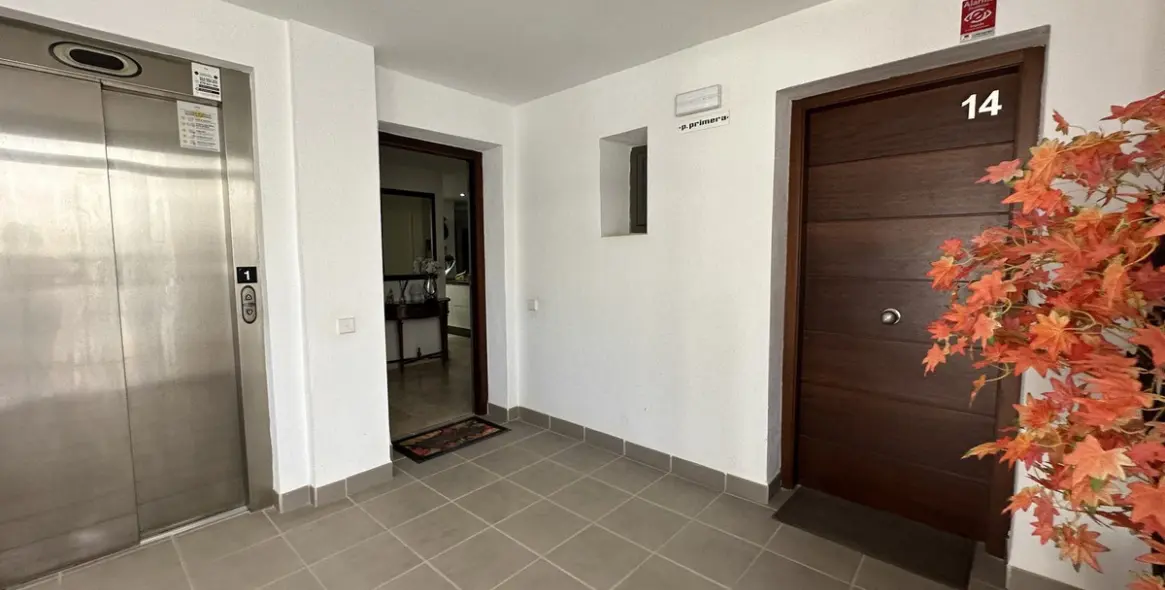 Sale of middle floor apartment in Casares 5