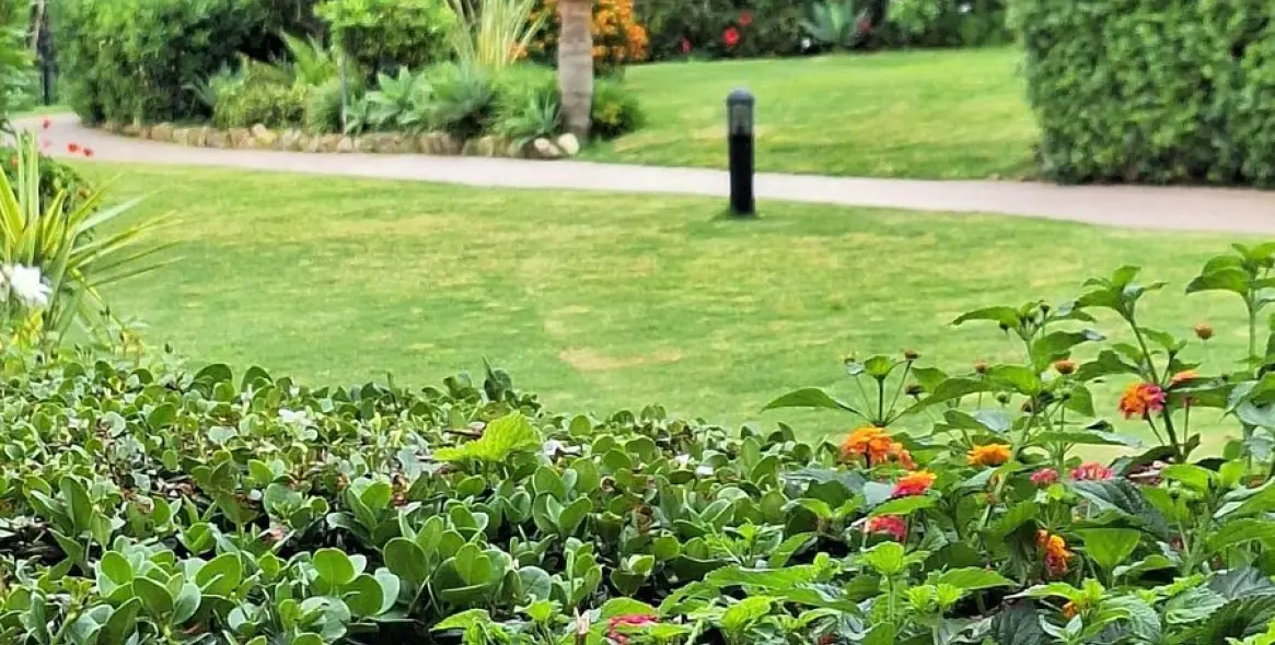 Sale of ground floor apartment in La Duquesa 11