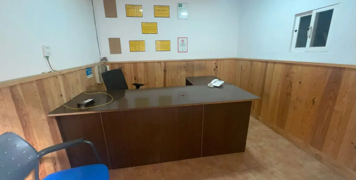 Long-term rent of other in Estepona 8