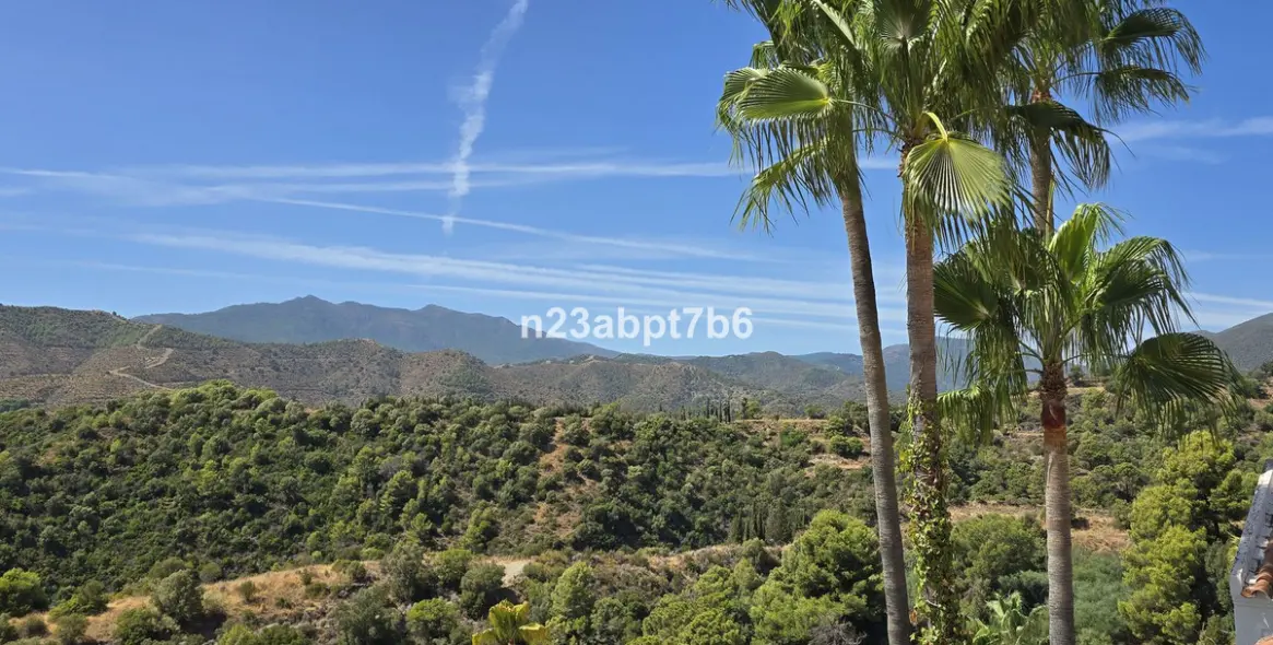 Продажа таунхауса в Istán 16