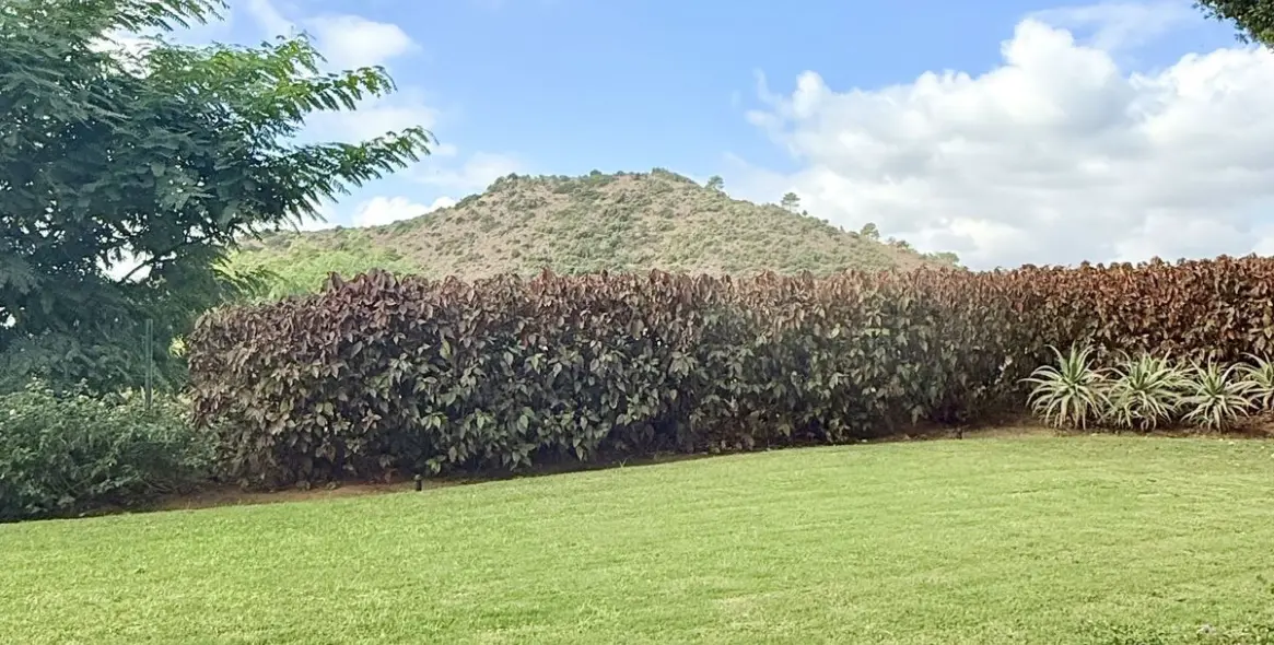 Продажа апартаментов на первом этаже в Los Arqueros 45