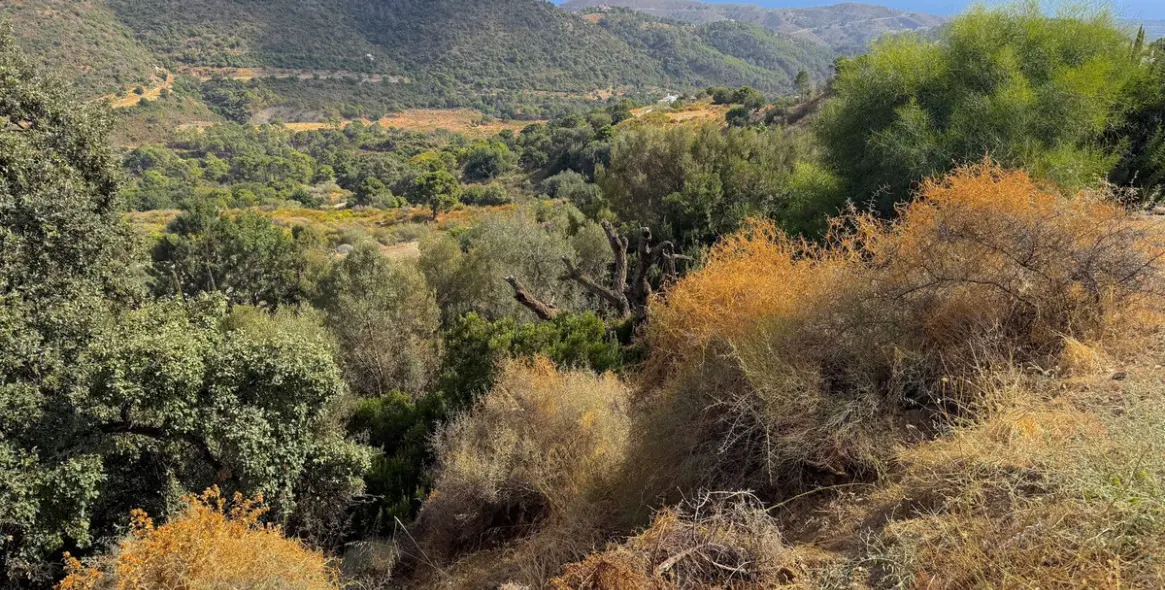 Продажа  жилого участка в Benahavís 1