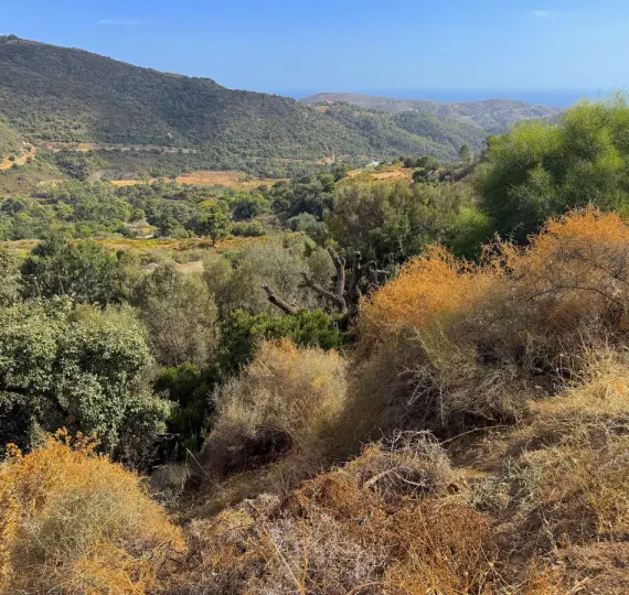 Venta de parcela residencial en Benahavís