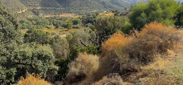 Venta de parcela residencial en Benahavís 0