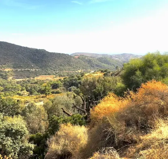 Venta de parcela residencial en Benahavís