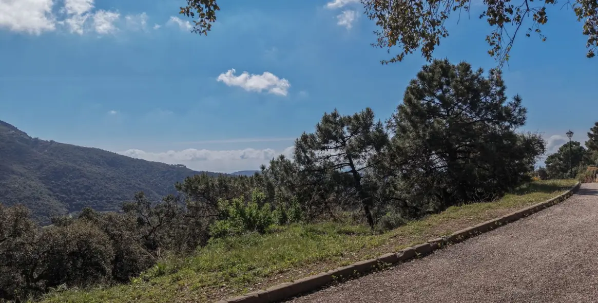 Продажа  жилого участка в Benahavís 12