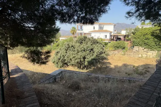 Image 4 thumb