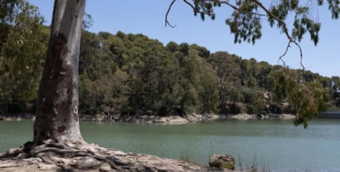 Sale of ground floor apartment in Nueva Andalucía 15